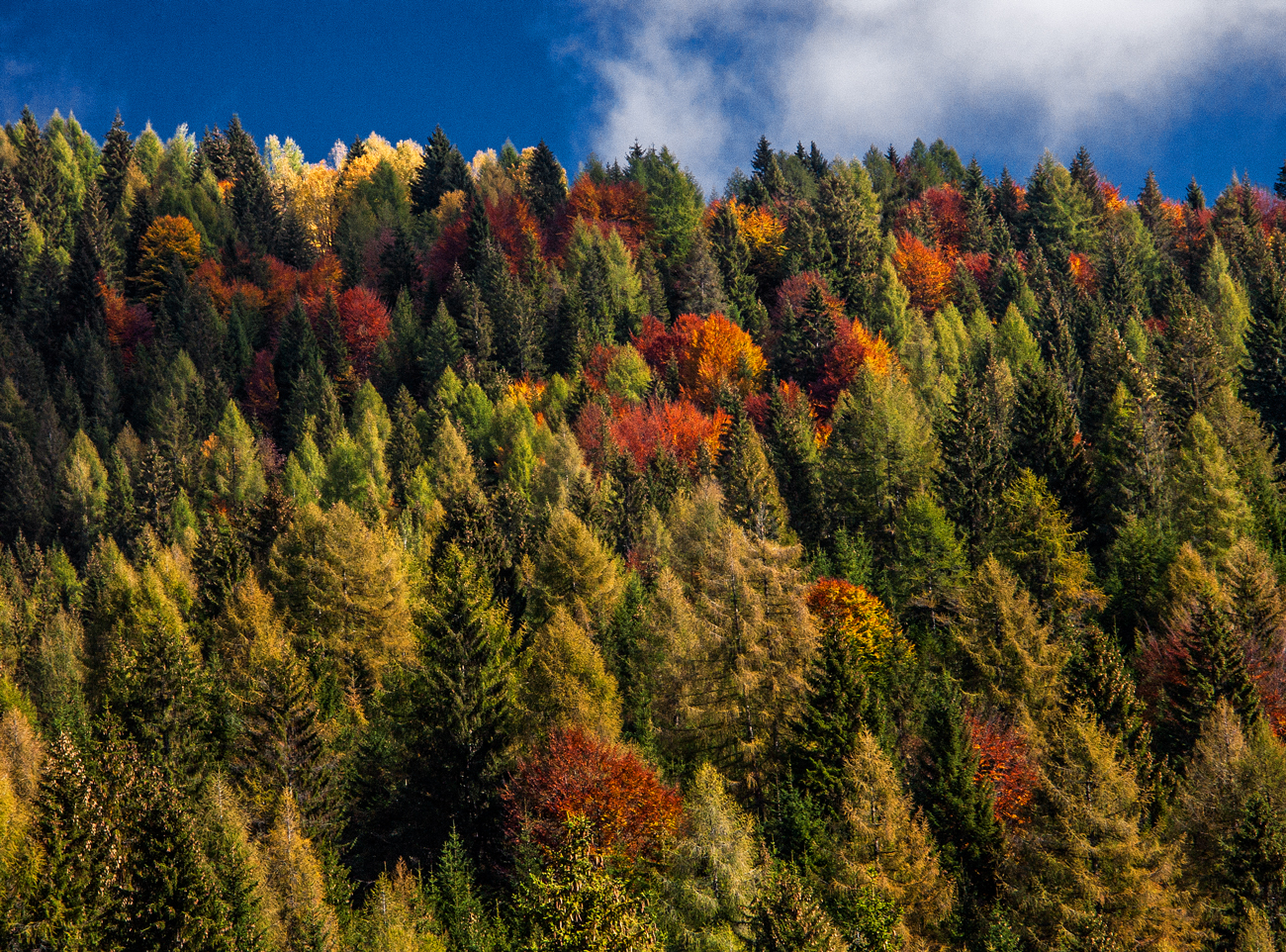 autunno, Dolomiti